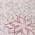 Pink color or pattern variation