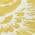Gold color or pattern variation