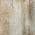 Beige color or pattern variation