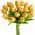 Gold color or pattern variation