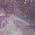 Purple color or pattern variation