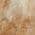 Olive color or pattern variation