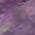 Purple color or pattern variation