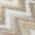 Ivory color or pattern variation