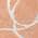 Salmon color or pattern variation