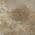 Brown color or pattern variation
