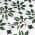 Dark Green color or pattern variation