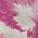 Pink color or pattern variation