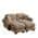 Brown color or pattern variation