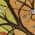 Gold color or pattern variation