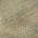 Beige color or pattern variation