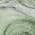 Olive Green color or pattern variation