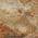 Copper color or pattern variation