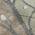 Beige color or pattern variation