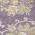 Purple color or pattern variation