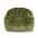 Green color or pattern variation