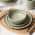 Green color or pattern variation