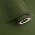 Olive Green color or pattern variation
