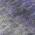 Purple color or pattern variation