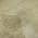 Beige color or pattern variation
