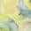 Yellow color or pattern variation