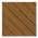 Moringa color or pattern variation