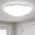 Daylight White color or pattern variation
