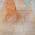Peach color or pattern variation
