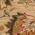 Beige color or pattern variation