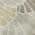 Beige color or pattern variation