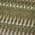 Olive color or pattern variation