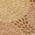 Copper color or pattern variation