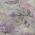 Lilac color or pattern variation