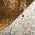 Weathered Wood