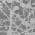 Gray color or pattern variation