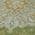 Olive color or pattern variation