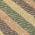 Olive color or pattern variation