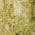 Gold color or pattern variation