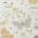 Ivory color or pattern variation