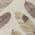 Beige color or pattern variation