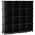 Black color or pattern variation