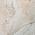 Ivory color or pattern variation