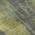 Green color or pattern variation