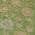 Green color or pattern variation