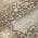Brown color or pattern variation