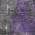 Purple color or pattern variation