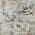 Silver color or pattern variation