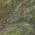 Green color or pattern variation