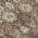 Brown color or pattern variation
