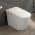 White & Sliver Trim(Auto Flush + Heated Seat) color or pattern variation
